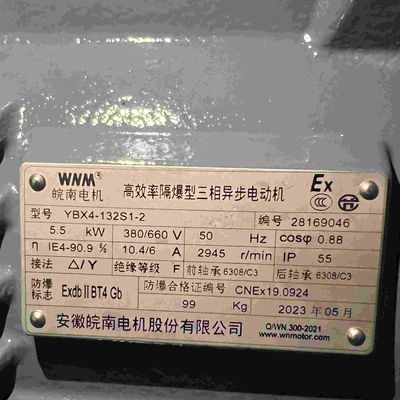 Dust Proof IP65 Grade Three Phase Explosion Proof Electric Motors