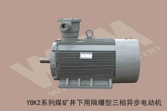 Dust Proof IP65 Grade Three Phase Explosion Proof Electric Motors