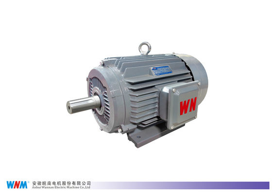 Cast Iron Three Phase Low Voltage Electric Motor with Fixed Frequency